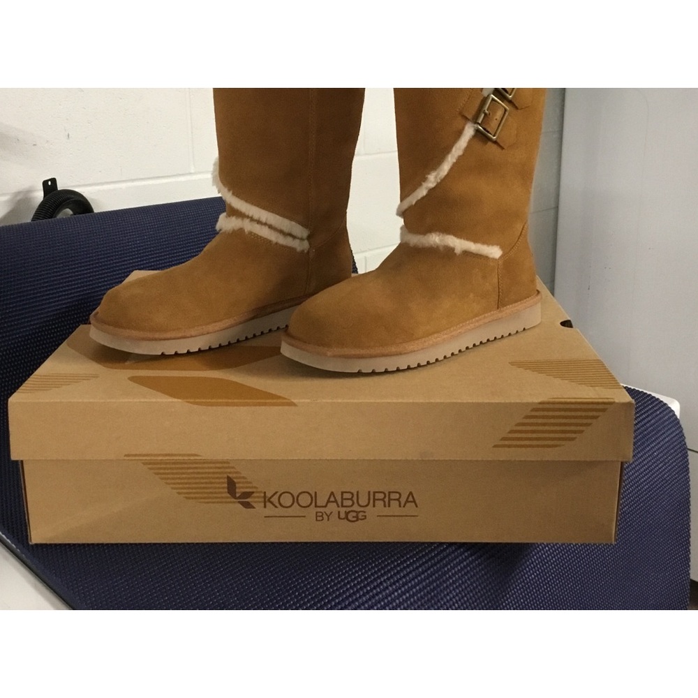 Ugg Kollaburra Boots
